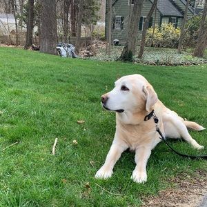 Meet your Posher, Jack